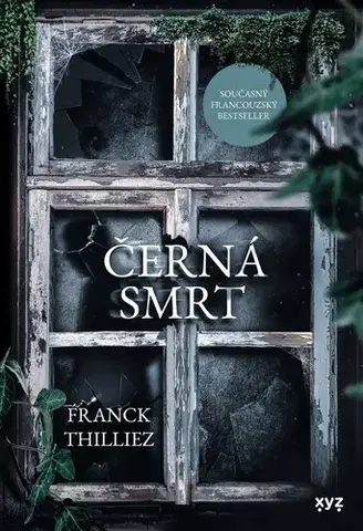 Detektívky, trilery, horory Černá smrt - Franck Thilliez,Jiří Žák