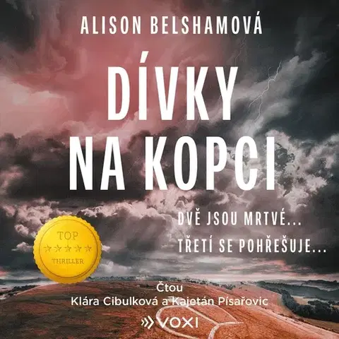 Detektívky, trilery, horory Voxi Dívky na kopci
