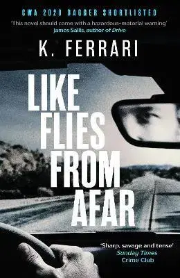 Detektívky, trilery, horory Like Flies from Afar - K. Ferrari