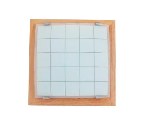 Svietidlá Prezent Nástenné stropné svietidlo GEOMETRICA 1xE27/60W/230V 30x30 cm 