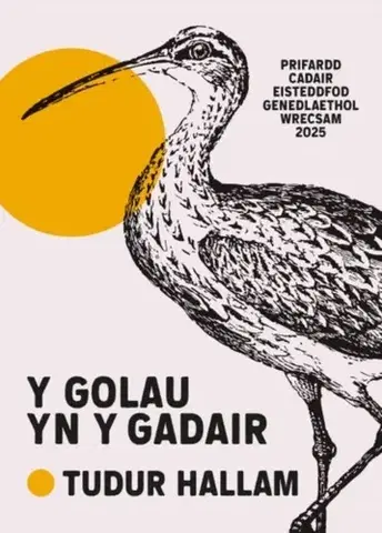 Poézia Y Golau yn y Gadair - Tudur Hallam