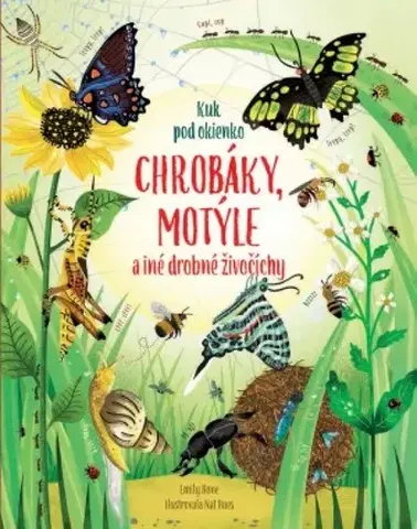Leporelá, krabičky, puzzle knihy Chrobáky a motýle - Kolektív autorov