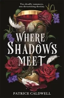 Sci-fi a fantasy Where Shadows Meet 1 - Patrice Caldwell