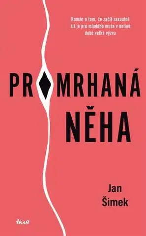 Erotická beletria Promrhaná něha - Jan Šimek