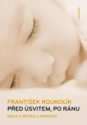 Eseje, úvahy, štúdie Před úsvitem, po ránu - František Koukolík