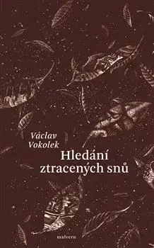 Česká beletria Hledání ztracených snů - Václav Vokolek