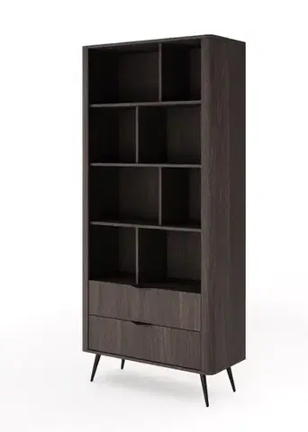 Nábytok ArtLas Regál HOPE 2S