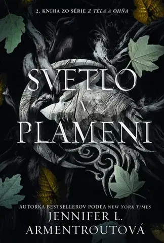 Sci-fi a fantasy Svetlo v plameni - Jennifer L. Armentrout