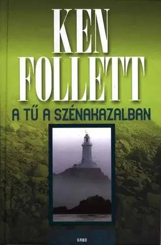 Detektívky, trilery, horory A Tű a szénakazalban - Ken Follett