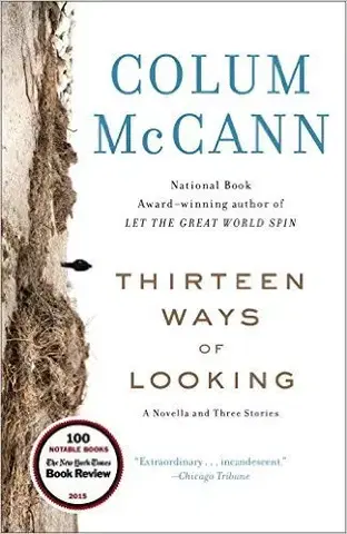 Cudzojazyčná literatúra Thirteen Ways of Looking - Colum McCann