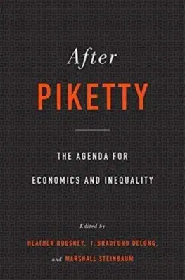 Ekonómia, Ekonomika After Piketty - Kolektív autorov