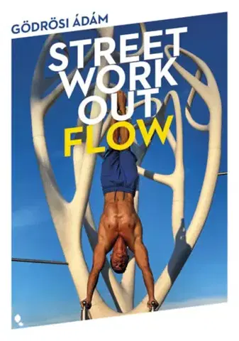 Fitness, cvičenie, kulturistika Street workout flow - Ádám Gödrösi
