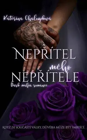 Romantická beletria Nepřítel mého nepřítele - Kateřina Chaloupková
