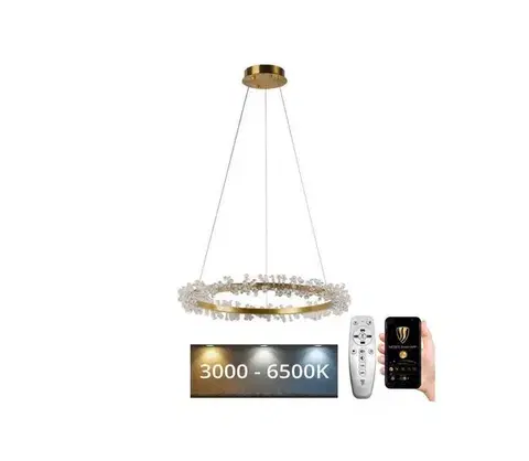 Svietidlá  LED Stmievateľný luster na lanku LED/40W/230V 3000-6500K zlatá + diaľkové ovládanie J6330/C