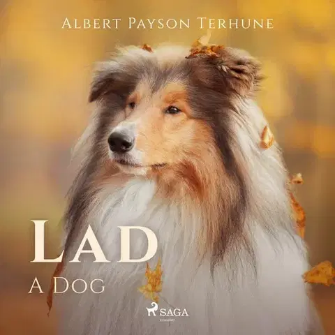 Beletria - ostatné Saga Egmont Lad: A Dog (EN)