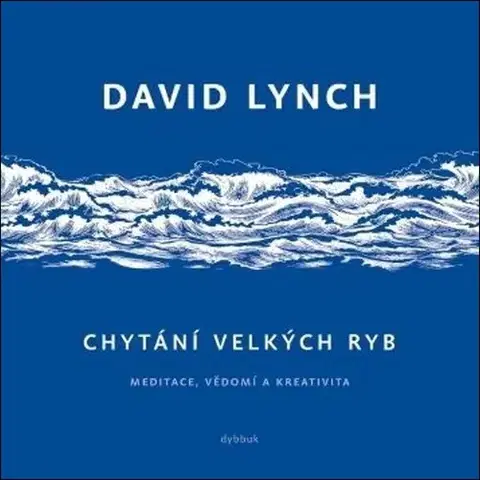 Film, hudba Chytání velkých ryb - David Lynch