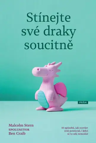 Rozvoj osobnosti Stínejte své draky soucitně - Malcolm Stern,Ben Craib