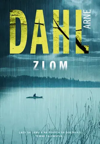 Detektívky, trilery, horory Berger a Blomová 5: Zlom - Arne Dahl,Anna Chelemendiková