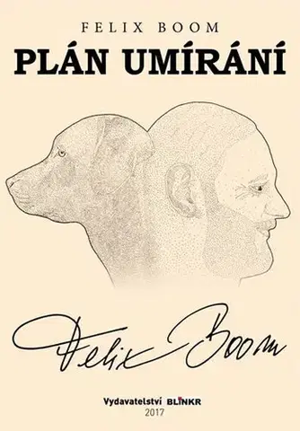 Detektívky, trilery, horory Plán umírání - Felix Boom