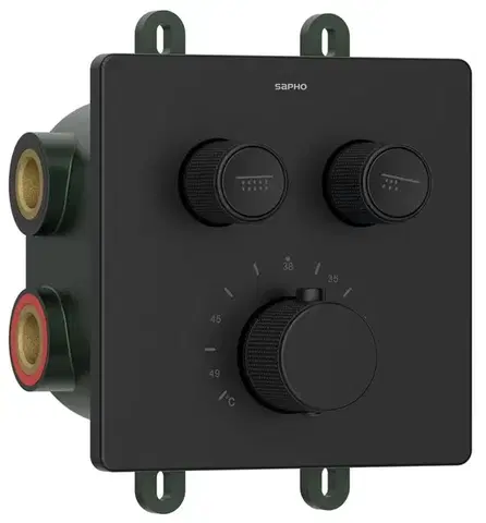 Kúpeľňové batérie SAPHO - SMART SELECT podomietková termostatická sprchová batéria, box, 2 výstupy, čierna mat RP042B