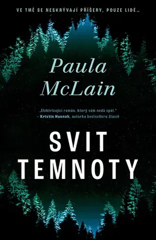 Detektívky, trilery, horory Svit temnoty - Paula McLain
