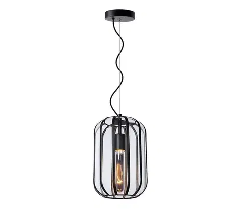Svietidlá Lucide 25409/01/30 - Luster na lanku FERN 1xE27/60W/230V 25409/01/30