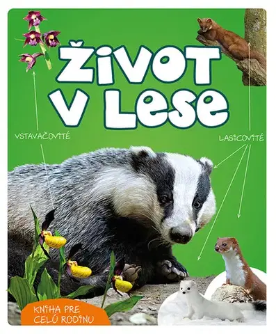 Príroda Život v lese - Wojciech Gil