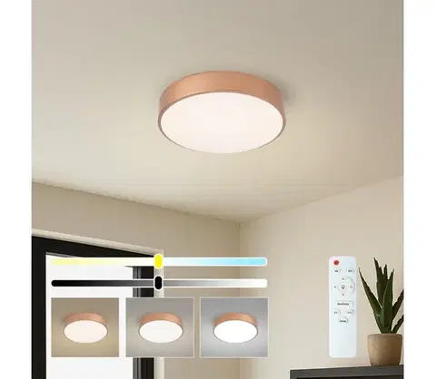Svietidlá BRILAGI - LED Stmievateľné stropné svietidlo POOL LED/36W/230V priemer 30 cm bronzové +DO BRI1016