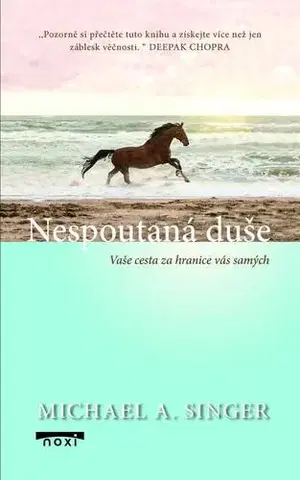 Ezoterika - ostatné Nespoutaná duše - Vaše cesta za hranice - Michael A. Singer