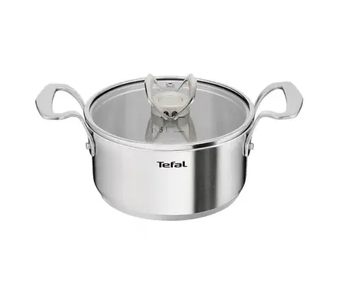 Panvice a hrnce Tefal - Hrniec s pokrievkou EXTREME 18 cm E5294304