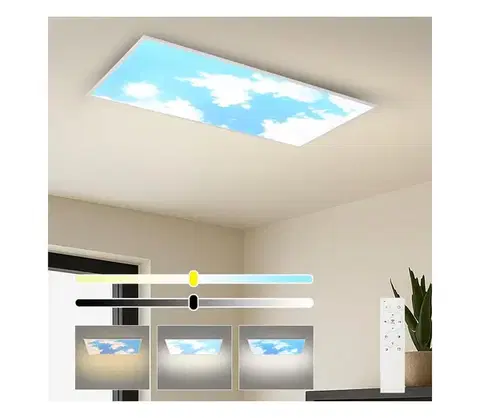 Svietidlá BRILAGI - LED stmievateľné stropné svietidlo SLIMFRAME SKY LED/80W/230V 120x60 cm + diaľkové ovládanie BRI779