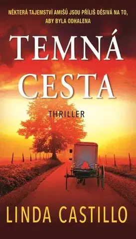 Detektívky, trilery, horory Temná cesta - Linda Castillo