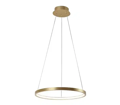 LED osvetlenie Leuchten Direkt 11522-12 - LED Luster na lanku CIRCLE LED/19W/230V 11522-12