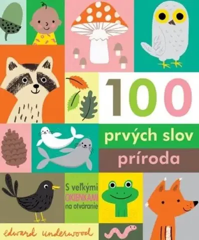 Leporelá, krabičky, puzzle knihy 100 prvých slov: Príroda - Edward Underwood