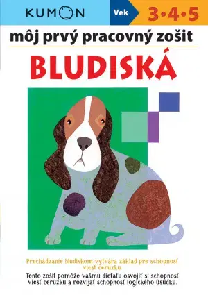 Príprava do školy, pracovné zošity Bludiská - Môj prvý pracovný zošit - Kolektív autorov