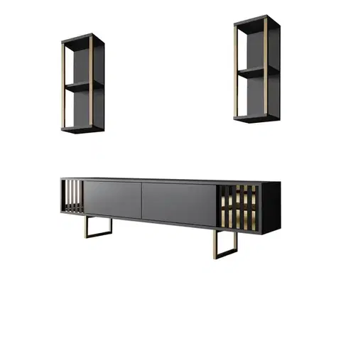 Konferenčné stolíky Televízny stolík s policami Linie Anthracite and Gold