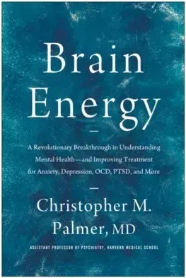 Psychológia, etika Brain Energy - Christopher M. Palmer