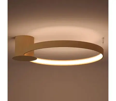 Svietidlá Thoro TH.222 - LED stropné svietidlo RIO LED/21W/230V CRI98 3000K pr. 55 cm zlaté TH.222