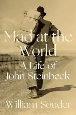 Literatúra Mad at the World - William Souder