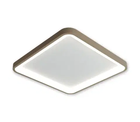 Svietidlá BRILAGI - LED stmievateľné stropné svietidlo FALCON SLIM LED/50W/230V biela/béžová + diaľkové ovládanie BRX1331-500/BG+BI