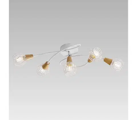 Svietidlá Prezent  - Prisadený luster TAMETA 5xE14/40W/230V 