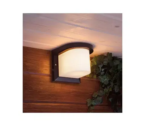 Svietidlá  Vonkajšie nástenné svietidlo PETUNIA 1xE27/60W/230V IP44 antracit SKU009148