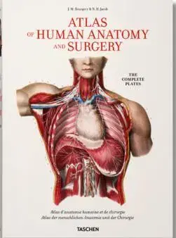 Anatómia Bourgery, Atlas of Human Anatomy and Surgery - Le Minor Jean-Marie,Henri Sick