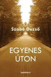 Svetová beletria Egyenes úton - Dezső Szabó