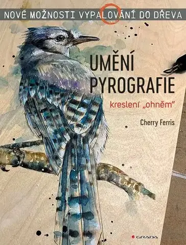Remeslá, dielňa, drotárstvo, košíkárstvo,... Umění pyrografie - Cherry Ferris