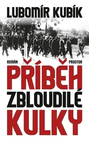 Romantická beletria Příběh zbloudilé kulky - Lubomír Kubík