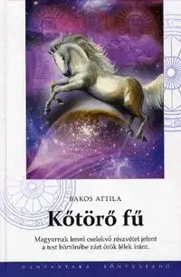 Svetové dejiny, dejiny štátov Kőtörő fű - Attila Bakos