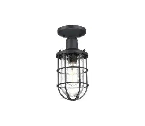 Záhradné lampy Westinghouse 6113140 - Vonkajšie stropné svietidlo CRESTVIEW 1xE27/60W/230V IP44 6113140