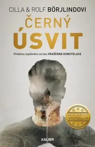 Detektívky, trilery, horory Černý úsvit, 2. vydání - Rolf Börjlind,Cilla Börjlind