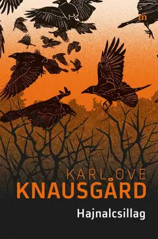 Svetová beletria Hajnalcsillag - Karl Ove Knausgard,László Kúnos